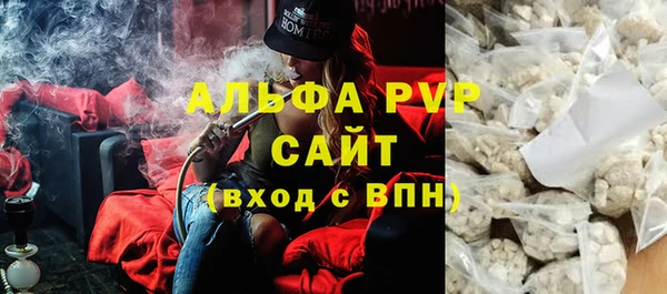 СК Аркадак