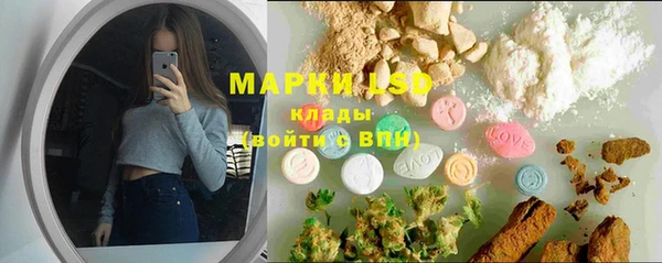 СК Аркадак