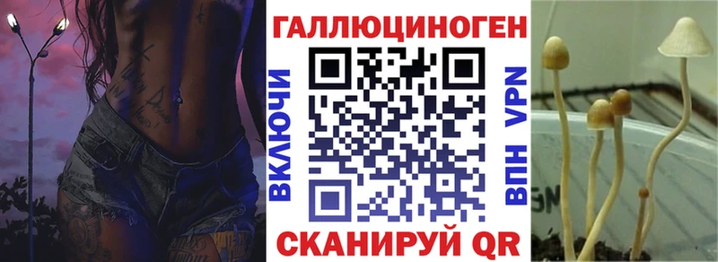 Купить  Лянтор  Псилоцибиновые грибы Cubensis 
